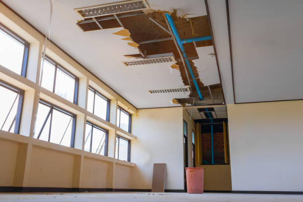 Best Flooded house restoration  in Westover, WV