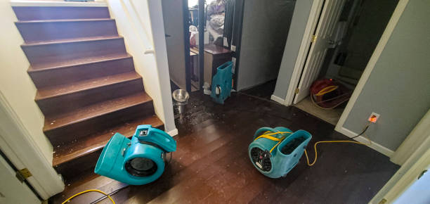 Best Basement water damage restoration  in Westover, WV