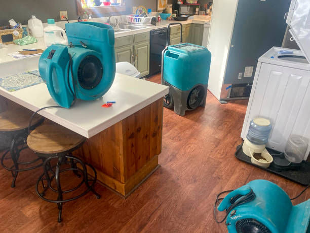 Best Water damage restoration specialists  in Westover, WV