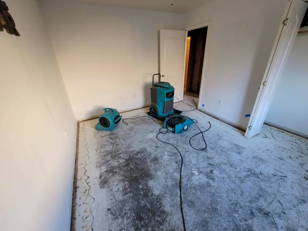 Best Water damage contractors near me  in Westover, WV