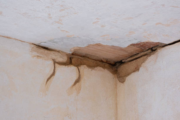 Best Water damage restoration near me  in Westover, WV