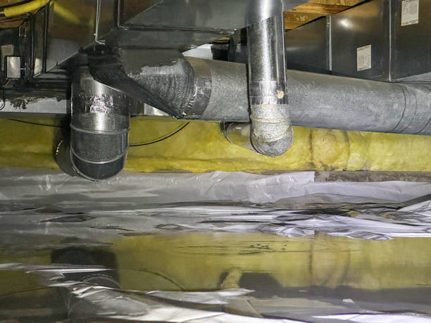 Best Ceiling water damage repair  in Westover, WV
