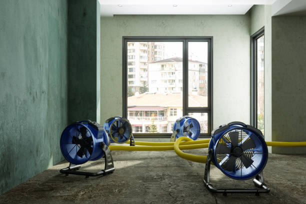 Best Sewage cleanup and water damage restoration  in Westover, WV